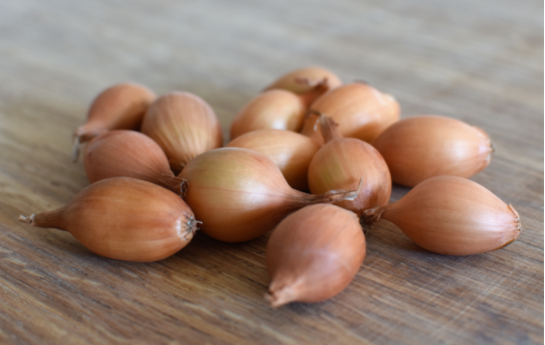 bulbilles